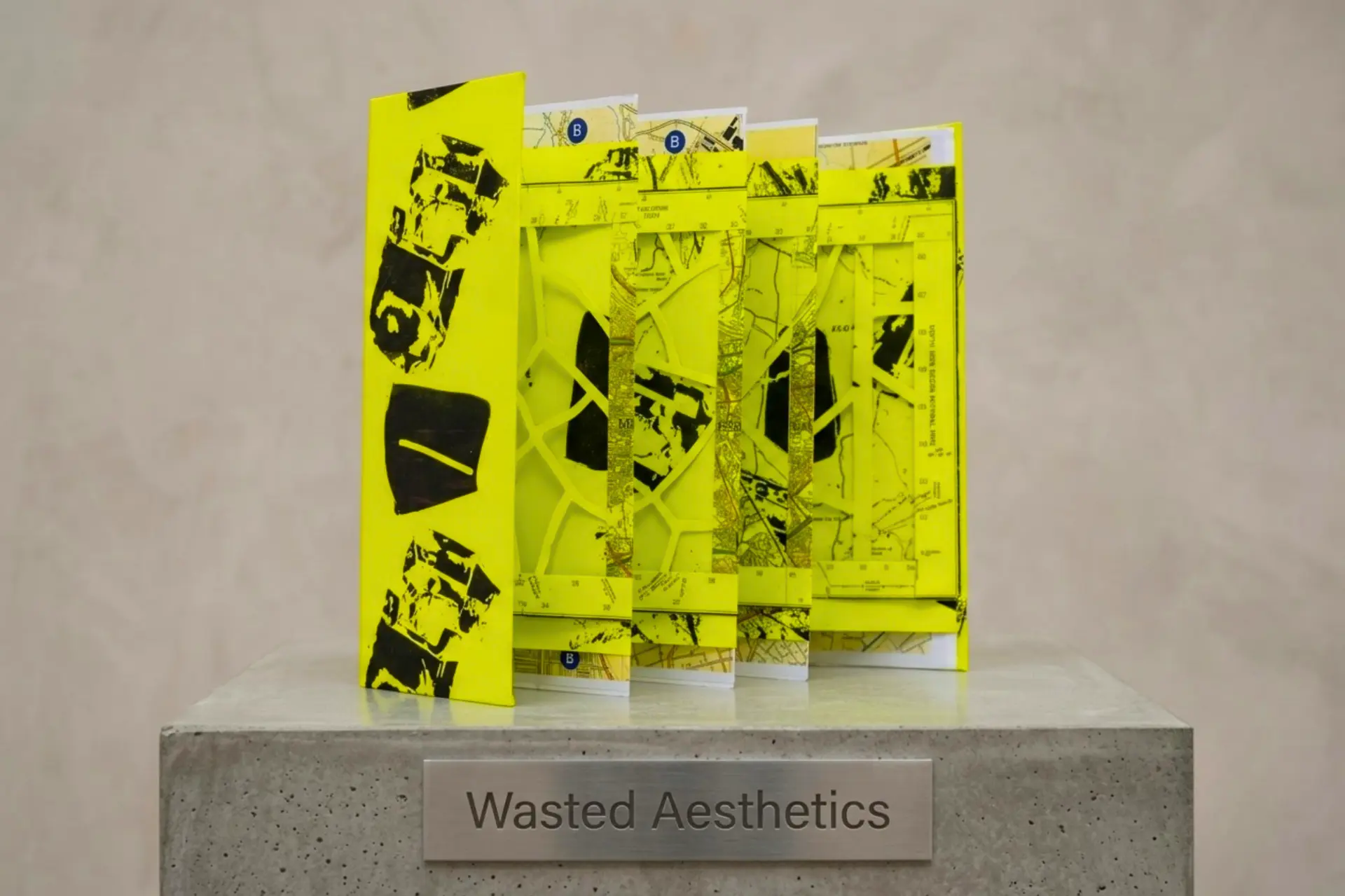 Wasted Aesthetics